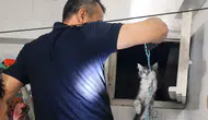 Battalgazi’de Yürek Isıtan Kurtarma! Havalandırma Boşluğunda Mahsur Kalan Yavru Kediye İtfaiye El Uzattı