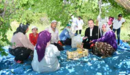 MAGİNDER Başkanı Karademir: "Malatya Kayısısı Hak Ettiği Değeri Görmeli"