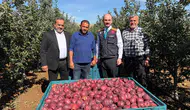 Malatya’nın Doğanşehir İlçesinde Elma Mesaisi Başladı: Beklenen Rekolte 16 Bin 549 Ton