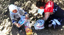 Malatya'da Kayısıda Pestisit Alarmı! 16 Üreticiye Hasat Geciktirme, 5 Üreticiye Para Cezası