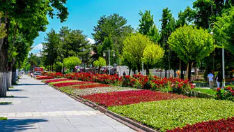 Malatya Rengârenk Oldu! Parklar ve Kavşaklar Yaz Çiçekleriyle Yeniden Düzenlendi