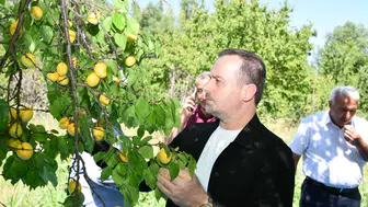 MAGİNDER Başkanı Karademir'den Kayısı Fiyatlarına Tepki: "Bu Fiyatlarla Üretici Ayakta Kalamaz"
