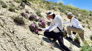 Darende’nin Saklı Zenginliği Bilimsel Çalışmayla Gün Yüzüne Çıkıyor