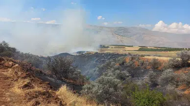 Malatya’da Alevler Yerleşim Yerlerine Dayandı: 300 Dönümlük Alan Yangında Zarar Gördü