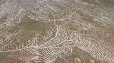 Doğanşehir'in Dağları Yeşile Bürünüyor: 200 Hektarlık Dev Projede "Yeşil Vatan" İçin Seferberlik