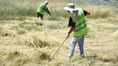 Yeşilyurt’ta Yangın Tehlikesine Karşı Harekete Geçildi: Kuruyan Otlar Temizleniyor