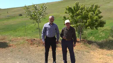 Tepeye Çıkmadan Telefon Çekmiyor: Yayla Sakinlerinden Baz İstasyonu Talebi