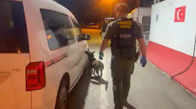 Narkotik Köpeği Gizli Düzeneği Ortaya Çıkardı!