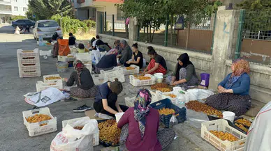 Malatya'da Kayısı İşçileri Çözüm Bekliyor! "Ceza Değil, Çalışacak Yer İstiyoruz"