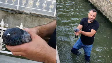 Malatya'da Duygulandıran Kurtarma! Kanala Düşen Yaralı Güvercine Umut Oldu