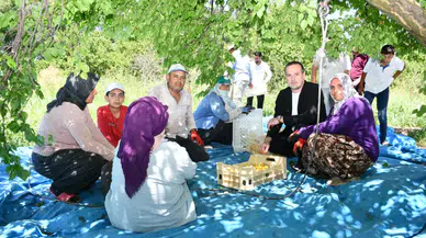 MAGİNDER Başkanı Karademir: "Malatya Kayısısı Hak Ettiği Değeri Görmeli"