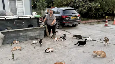 Malatya'da Yürek Isıtan Hikâye: Yıllardır Sokak Kedilerini Kendi İmkânlarıyla Besliyor