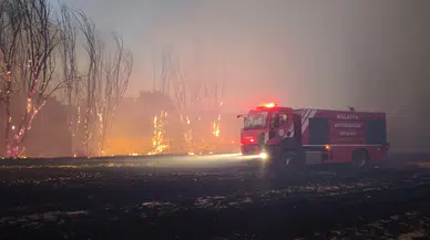 Tohma Mahallesi'nde Anız Yangını Paniği! Alevler Evlere Ulaşmadan Söndürüldü
