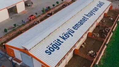 Malatya'da Gurbetçilere Büyük Kolaylık! "Emanet Hayvan Oteli" Projesi Hayata Geçiyor