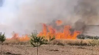 Darende'de Hasat Öncesi Felaket: Buğday Tarlasındaki Yangın 30 Dönümü Kül Etti