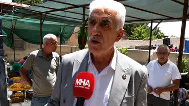 Kayısı Üreticisinden TMO'ya Acil Müdahale Çağrısı: "Bu Fiyatlarla Üretici Ayakta Kalamaz"