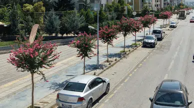 Malatya’da Yeşil Dönüşüm Hızlandı: Binlerce Ağaç Toprakla Buluştu