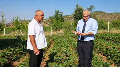 Pütürge’de Üretime Yerinde Destek: İl Tarım Müdürü Akar Çiftçilerle Buluştu