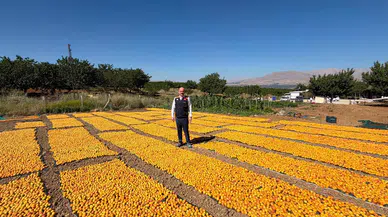 Kaymakam Sungur, Kayısı Hasadında Üreticilerle Bir Araya Geldi