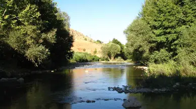 Arapgir’de Serinlemek İçin Girdiği Kozluk Çayı’nda Can Verdi
