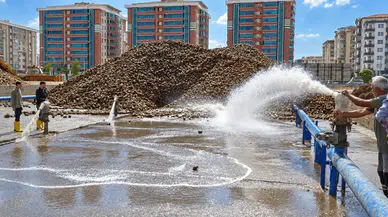 Malatya Şeker Fabrikası’nda yoğun mesai: 75 bin ton pancar alındı, hedef 500 bin ton