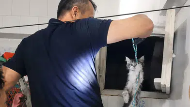 Battalgazi’de Yürek Isıtan Kurtarma! Havalandırma Boşluğunda Mahsur Kalan Yavru Kediye İtfaiye El Uzattı
