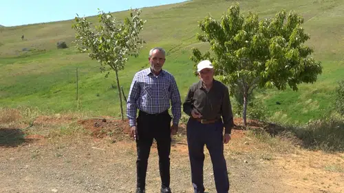 Tepeye Çıkmadan Telefon Çekmiyor: Yayla Sakinlerinden Baz İstasyonu Talebi