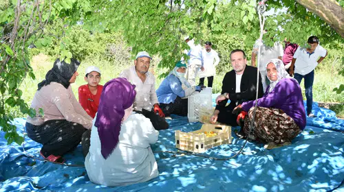 MAGİNDER Başkanı Karademir: "Malatya Kayısısı Hak Ettiği Değeri Görmeli"
