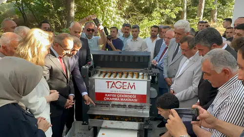 Kayısıda Devrim Niteliğinde Makine: 16 İşçinin İşini Tek Başına Yapıyor