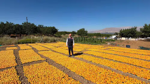 Kaymakam Sungur, Kayısı Hasadında Üreticilerle Bir Araya Geldi
