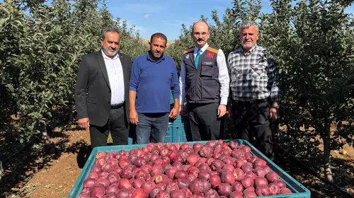 Malatya’nın Doğanşehir İlçesinde Elma Mesaisi Başladı: Beklenen Rekolte 16 Bin 549 Ton