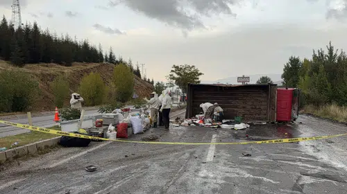 Malatya’da Arı Kovanı Taşıyan Kamyon Devrildi! 3 Kişi Yaralandı, Arılar Yola Yayıldı