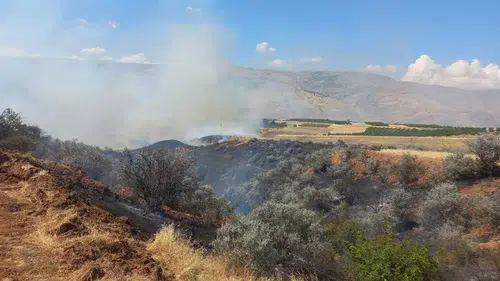 Malatya’da Alevler Yerleşim Yerlerine Dayandı: 300 Dönümlük Alan Yangında Zarar Gördü