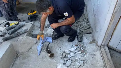 Yer Altından Gelen Ses Herkesi Harekete Geçirdi: Yavru Kedi İçin Seferber Oldular