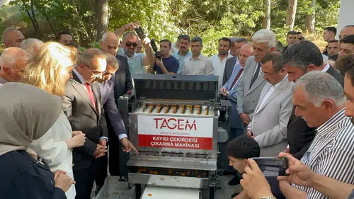 Kayısıda Devrim Niteliğinde Makine: 16 İşçinin İşini Tek Başına Yapıyor