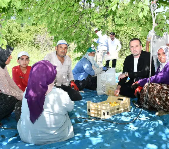 MAGİNDER Başkanı Karademir: "Malatya Kayısısı Hak Ettiği Değeri Görmeli"