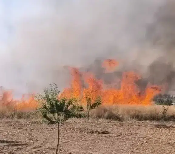 Darende'de Hasat Öncesi Felaket: Buğday Tarlasındaki Yangın 30 Dönümü Kül Etti