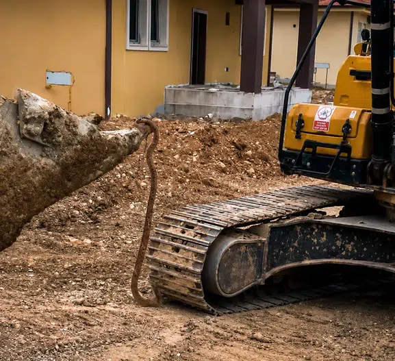 Darende’de Şantiyede Panik Yaratan Misafir! 3 Metrelik Yılan İş Makinesiyle Güvenli Şekilde Uzaklaştırıldı