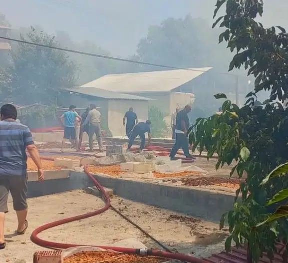 Darende'de Yangın Alarmı: Alevler Evlere Sıçradı, Vali Yavuz Bölgeye Gidiyor