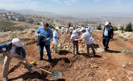 MBB Fidan Dikimiyle Çevreye Duyarlı Adımlar Atıyor!