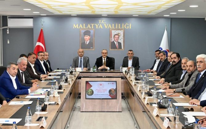 Zirai Don Sonrası Kayısı’da Hangi Önlemler Alınmalı?