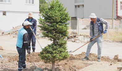 Battalgazi Belediyesi, Dolamantepe mahallesinin çehresini değiştiriyor